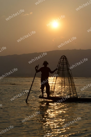 Fishermen at sunset in the Landscape on the Inle Lake in the Shan State in the east of Myanmar in Southeastasia.