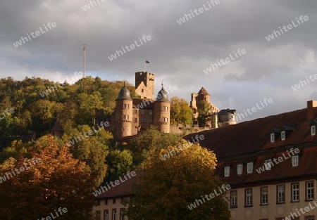 Burg Wertheim