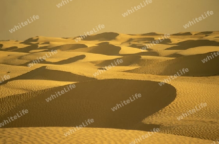 Die Sahara Wueste bei Douz im zentralen sueden in Tunesien in Nordafrika.