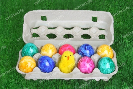 Bunte Ostereier in einem Eierkarton auf gr?nem Hintergrund