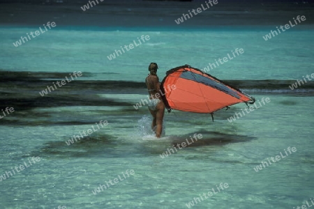 
Surfbretter am Strand der Insel Meeru im Northmale Atoll auf den Inseln der Malediven im Indischen Ozean. 