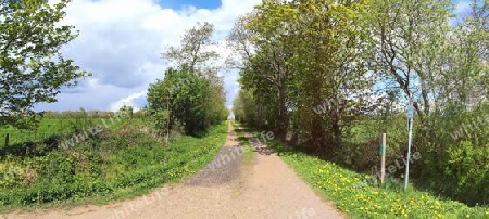 Beautiful high resolution panorama of a northern european country landscape with fields and green grass.