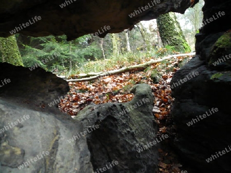 Felsen im Wald