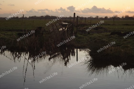 Fields at sunset