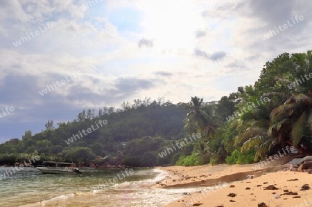 Sunny day beach view on the paradise islands Seychelles.