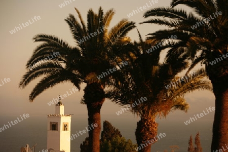 Afrika, Nordafrika, Tunesien, Tunis
Die Moschee mit dem Minarett in Altstadt von Sidi Bou Said am Mittelmeer und noerdlich der Tunesischen Hauptstadt Tunis.





