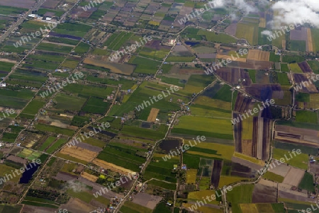 Die Landschaft mit Landwirtschaftlichen betrieben oestlich der Hauptstadt Bangkok von Thailand in Suedostasien.