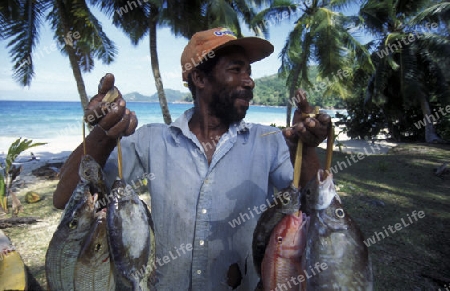 Ein Fischer auf der Insel Praslin der Inselgruppe Seychellen im Indischen Ozean in Afrika.