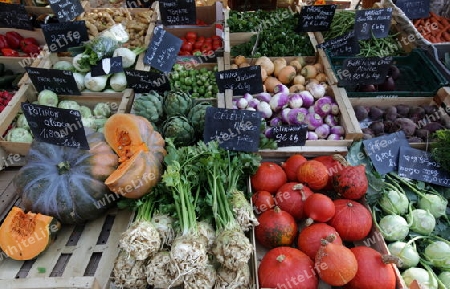 the Market Hall in the old city of Colmar in  the province of Alsace in France in Europe