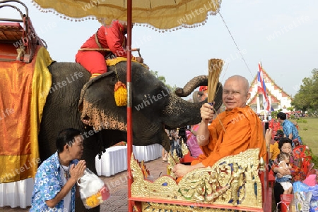 Das Songkran Fest oder Wasserfest zum Thailaendischen Neujahr ist im vollem Gange in Ayutthaya noerdlich von Bangkok in Thailand in Suedostasien.  