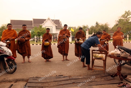 Moenche ziehen am fruehen morgen durch Alt-Sukhothai in der Provinz Sukhothai im Norden von Thailand in Suedostasien.