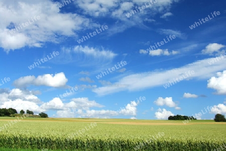 Himmel und Felder