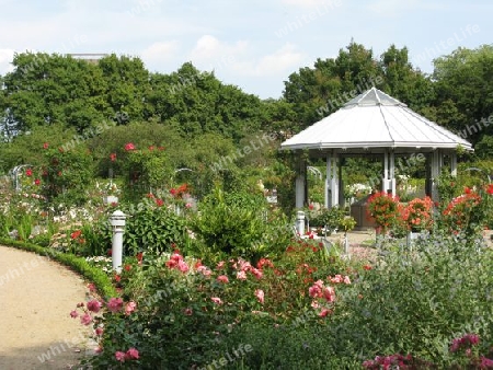 Hamburg, Sommer in Planten un Blomen