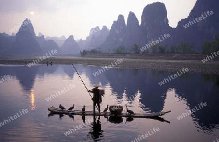 the landscape at the Li River near Yangshou near the city of  Guilin in the Province of Guangxi in china in east asia. 