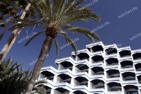 a Appartment Hotel at the Playa des Ingles in town of Maspalomas on the Canary Island of Spain in the Atlantic ocean.