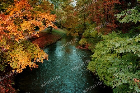 herbstbild