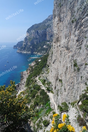 Felsenklippen auf Capri