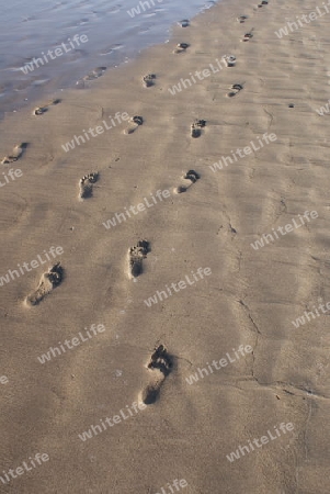 Spuren am Sandstrand