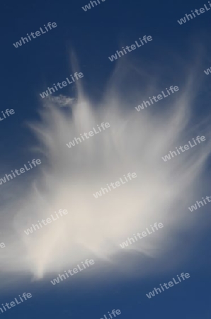 Wolke am Blauen Himmel