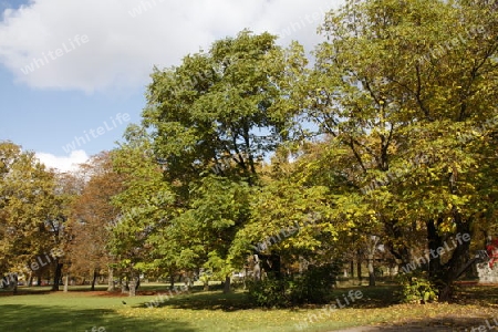 Herbst im Hirschgarten