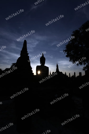 Eine Buddha Figur  im Wat Mahathat Tempel in der Tempelanlage von Alt-Sukhothai in der Provinz Sukhothai im Norden von Thailand in Suedostasien.