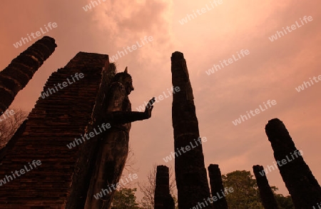 Eine Buddha Figur auf dem Wat Saphan HinTempel in der Tempelanlage von Alt-Sukhothai in der Provinz Sukhothai im Norden von Thailand in Suedostasien.