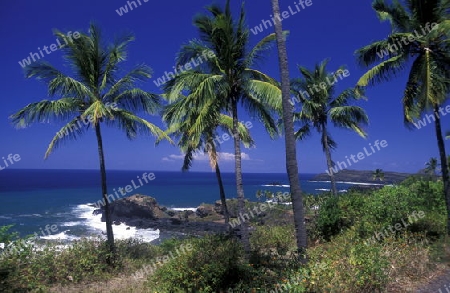 the landscape on the coast of the village Moya on the Island of Anjouan on the Comoros Ilands in the Indian Ocean in Africa.   