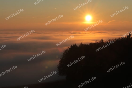 Sonnenuntergang ?ber dem Nebel