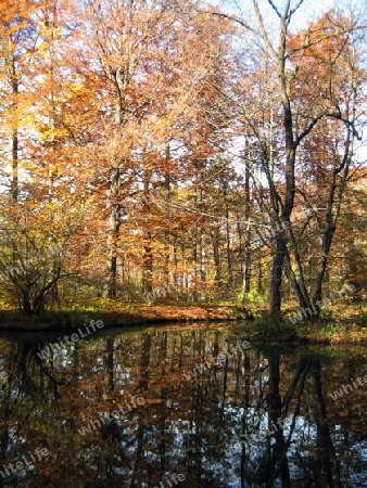 Herbst in Englischer Garten