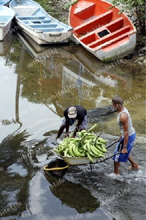 Suedamerika, Karibik, Venezuela, Nord, Choroni, National Park Hanri Pittier, Dorf, Hafen, Fischerdorf, Landwirtschaft, Arbeit, Bananeb, Transport, Bach, Fluss, keine Bruecke, Mann