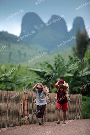 Menschen in der Landschaft in der Bergregion beim Dorf Kasi an der Nationalstrasse 13 zwischen Vang Vieng und Luang Prabang in Zentrallaos von Laos in Suedostasien.  