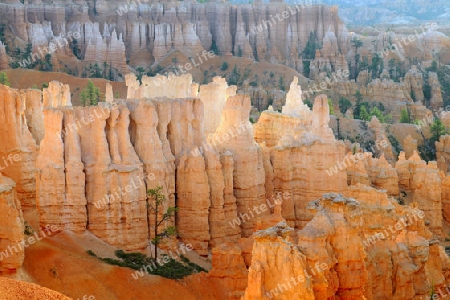 Felsformationen und Hoodoos waehrend Sonnenaufgang, Sunrise Point, Bryce Canyon Nationalpark, Utah, Suedwesten USA