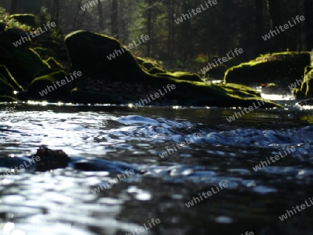 Flu?, Wald, Felsen