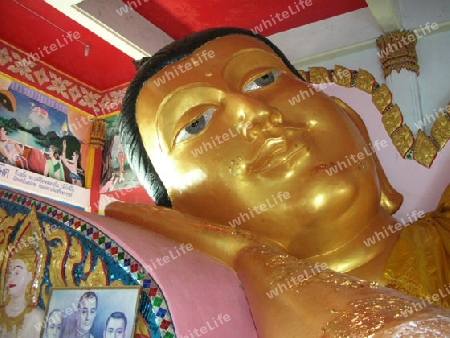 Buddhastatue im Tempel