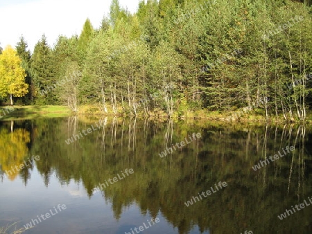 Spiegel der Natur