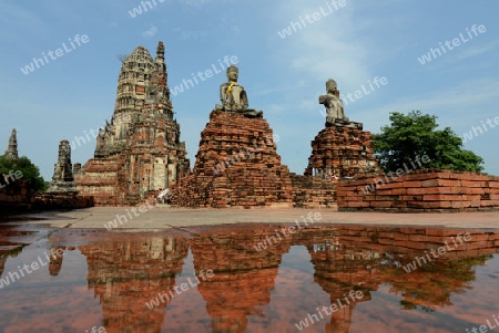 The Wat Chai Wattanaram Temple in City of Ayutthaya in the north of Bangkok in Thailand, Southeastasia.