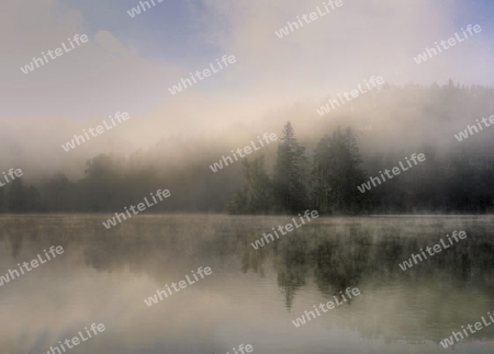 Herbstnebel am Wasser