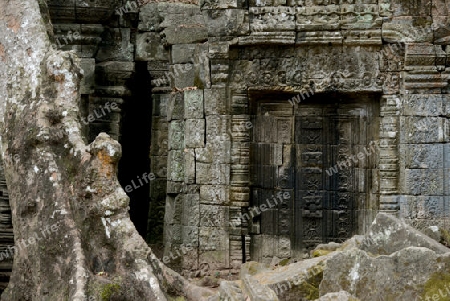 The Temple of  Preah Khan in the Temple City of Angkor near the City of Siem Riep in the west of Cambodia.