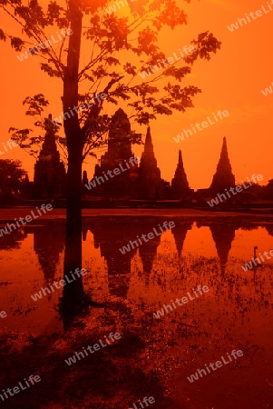 The Wat Chai Wattanaram Temple in City of Ayutthaya in the north of Bangkok in Thailand, Southeastasia.