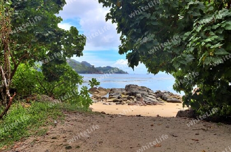 Sunny day beach view on the paradise islands Seychelles.