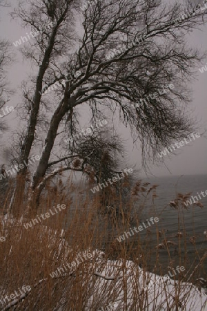 Winter am Chiemsee