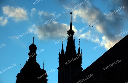 Der Rynek Glowny Platz mit der Marienkirche in der Altstadt von Krakau im sueden von Polen. 