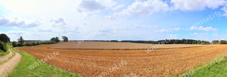 Beautiful high resolution panorama of a northern european country landscape with fields and green grass.