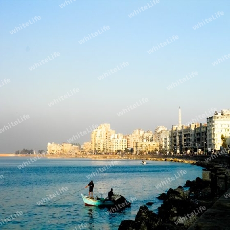 Skyline from ALexandria