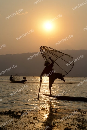 Fishermen at sunset in the Landscape on the Inle Lake in the Shan State in the east of Myanmar in Southeastasia.