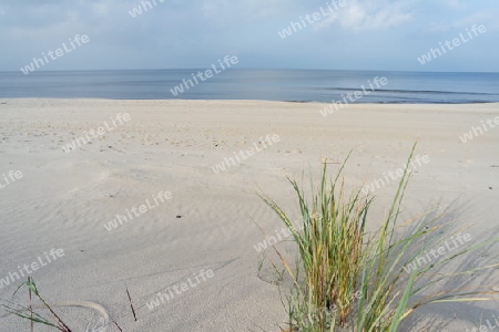 Sandstrand mit D?nengras