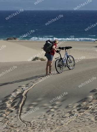 the Sanddunes of Corralejo in the north of the Island Fuerteventura on the Canary island of Spain in the Atlantic Ocean.