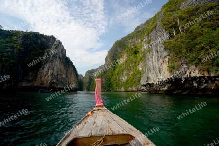 a Boat on the way to Maya Beach  near the Ko Phi Phi Island outside of the City of Krabi on the Andaman Sea in the south of Thailand. 