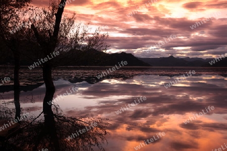 Europa, Osteuropa, Balkan. Montenegro, Skadar, See, Landschaft, Virpazar