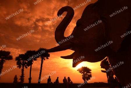 Der Aussichtspunkt Kap Promthep bei der Rawai Beach im sueden der Insel Phuket im sueden von Thailand in Suedostasien.